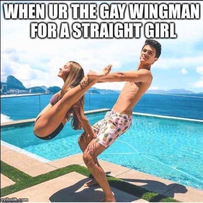 The Gay Wingman
