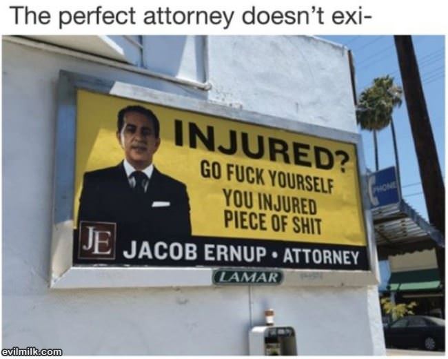 The Perfect Attorney