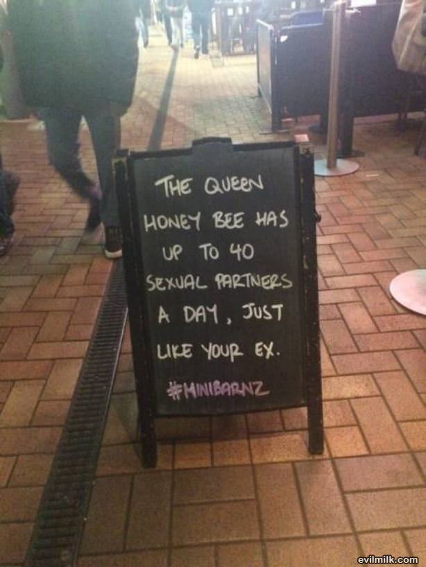 The Queen Honey Bee