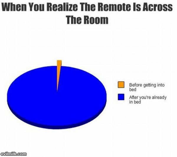 The Remote