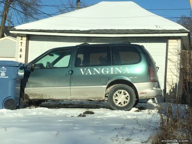 The Vangina