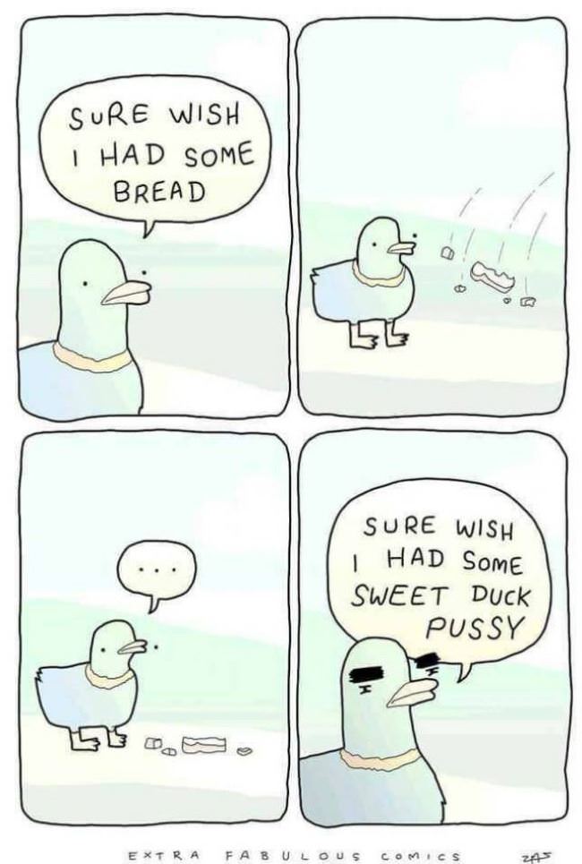This Duck Wants It All