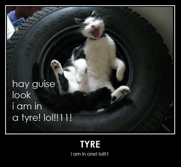 Tire Cat