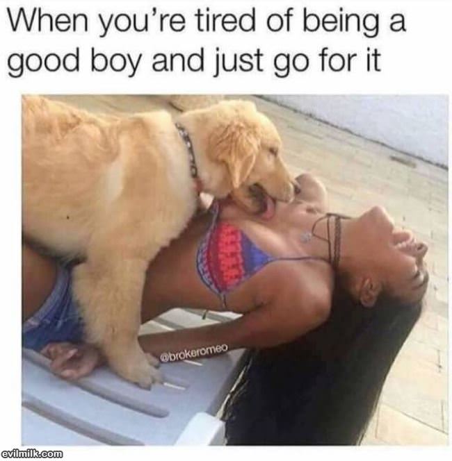 Tired Of Being A Good Boy