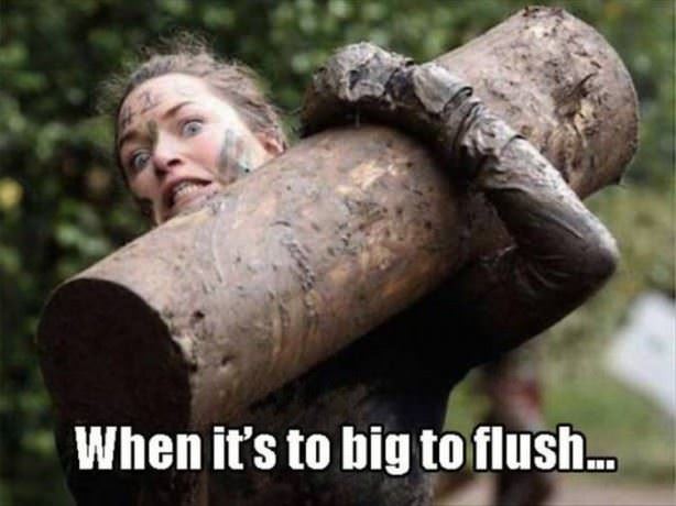 Too Big To Flush
