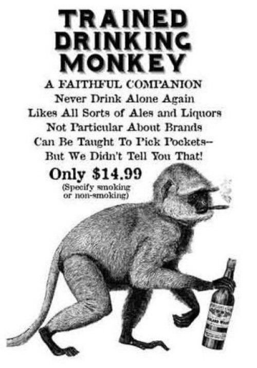 Trained Drinking Monkey