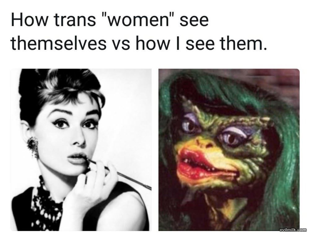 Trans Dudes