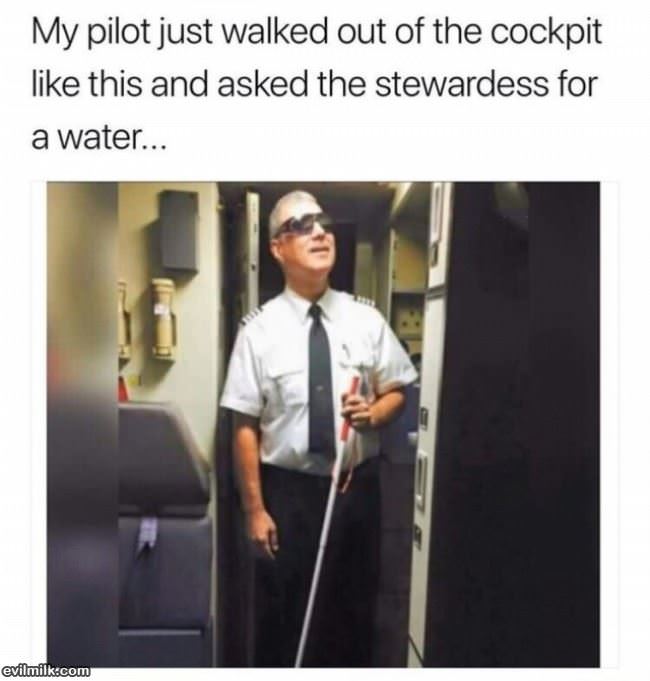 Trolling Pilot
