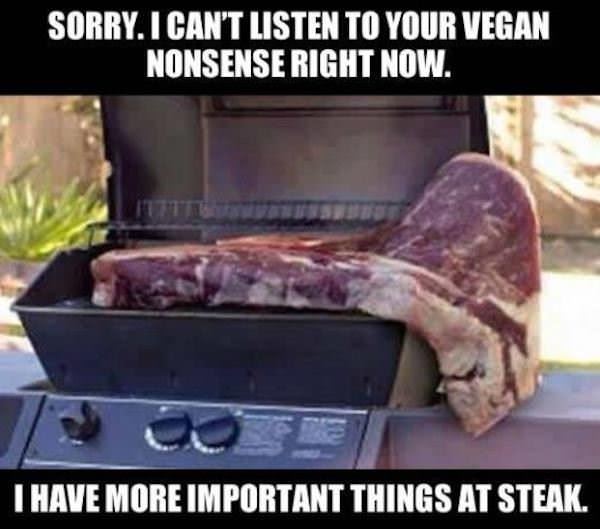 Vegan Nonsense