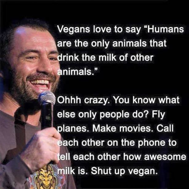 Vegans Love To Say