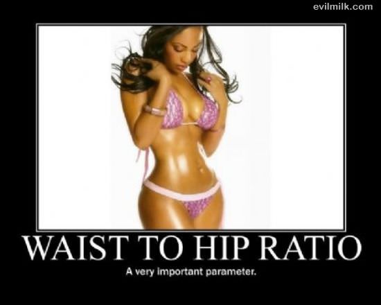 Waist To Hip Ratio