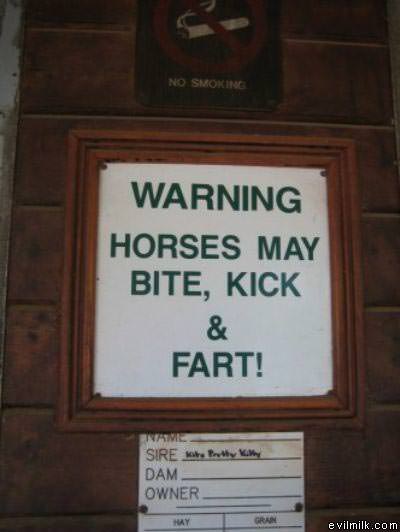 Warning About Horses