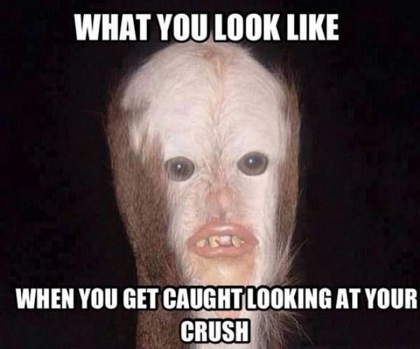 What You Look Like