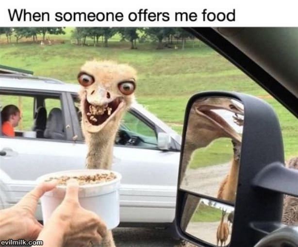 When-someone-offers-me-food