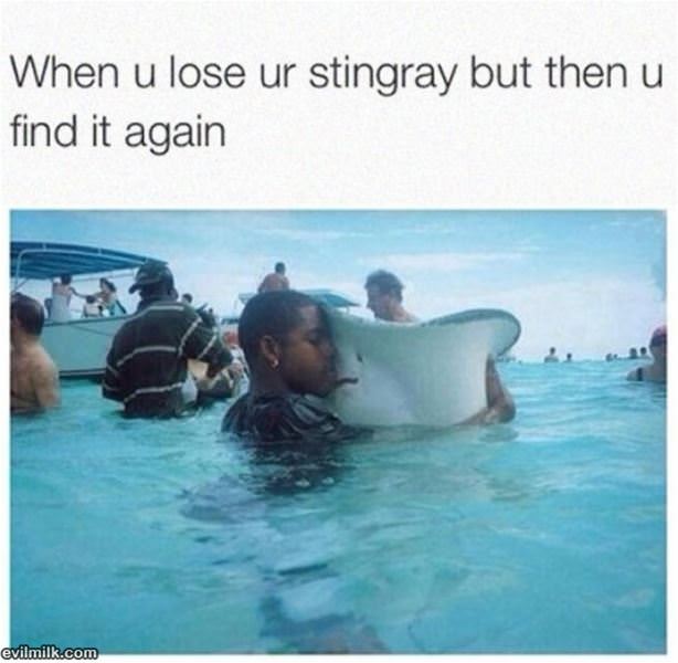 When-you-lose-your-stingray