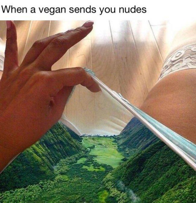 When A Vegan Sends Nudes