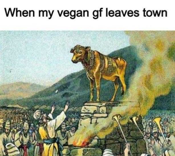 When My Vegan Gf Leaves