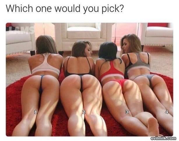 Which One Would You Pick