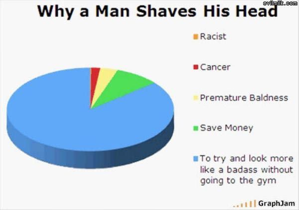 Why_Shave_Head.jpg