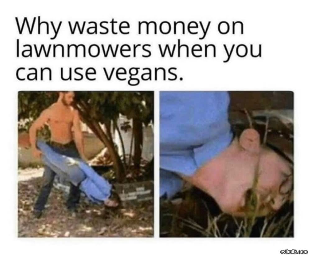 Why Waste Money