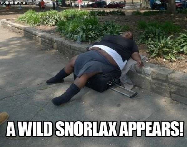 Wild Snorlax