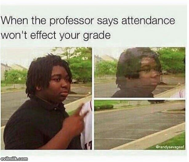 Wont Effect Your Grade