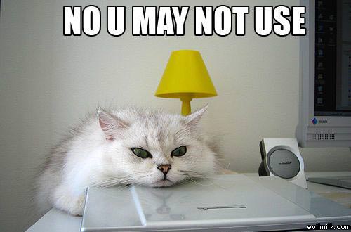 http://www.evilmilk.com/pictures/You_May_Not_Use_Cat.jpg