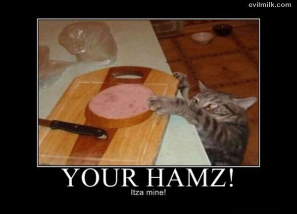 Your Hamz