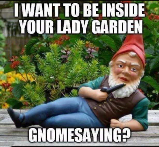 Your Lady Garden