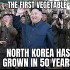 The First Vegetable