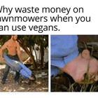 Why Waste Money