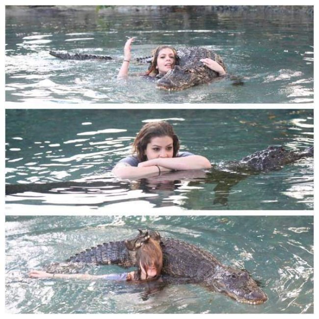 animals