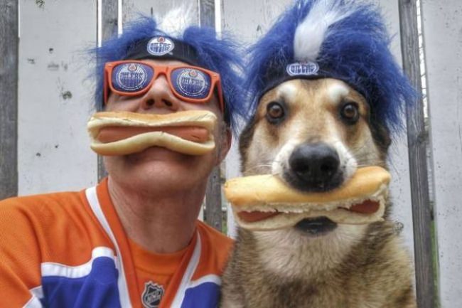 animals