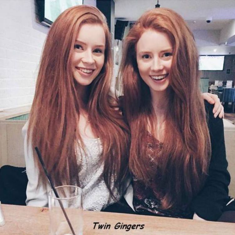 Gingers