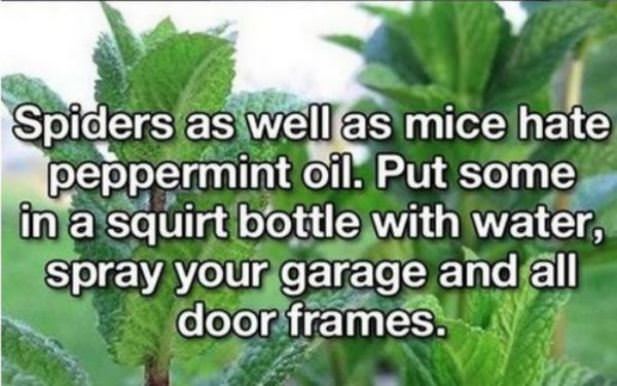 life hacks