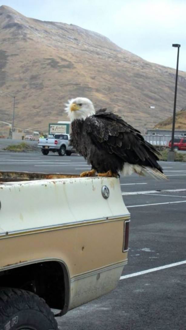 USA