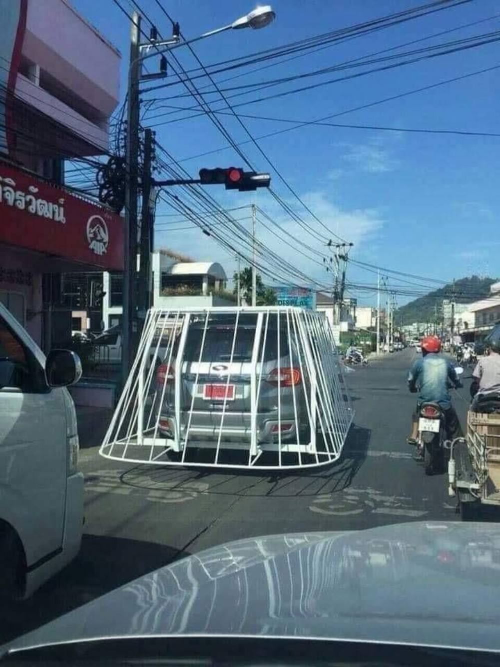 WTF