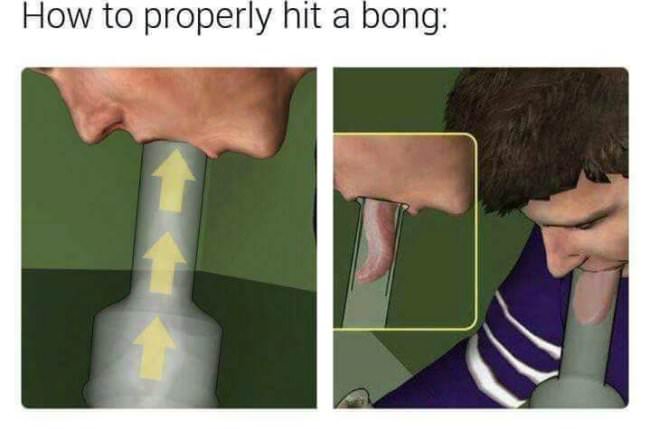 wtf
