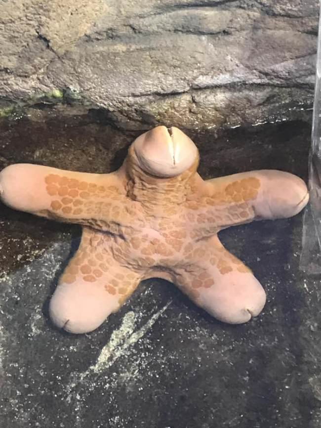 wtf