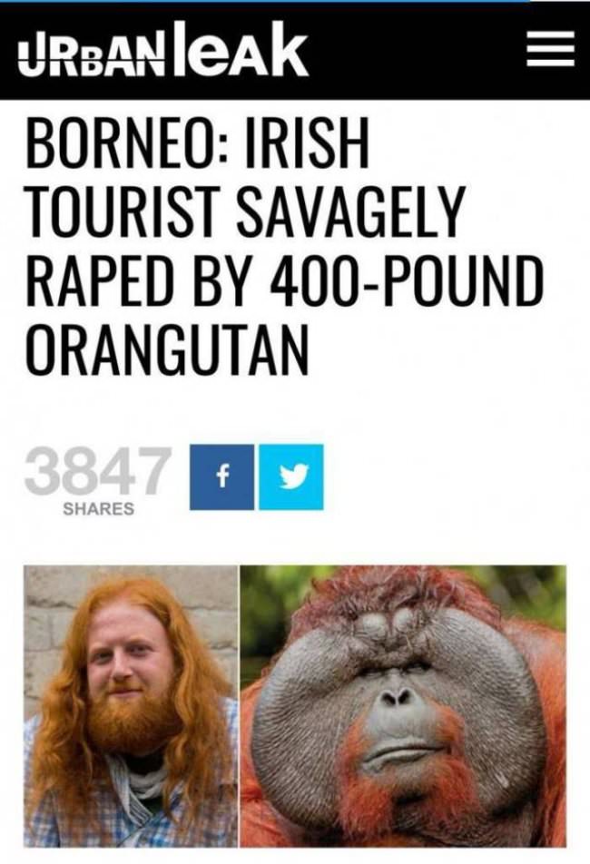 wtf