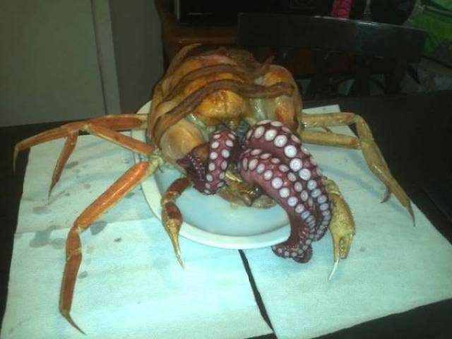 wtf