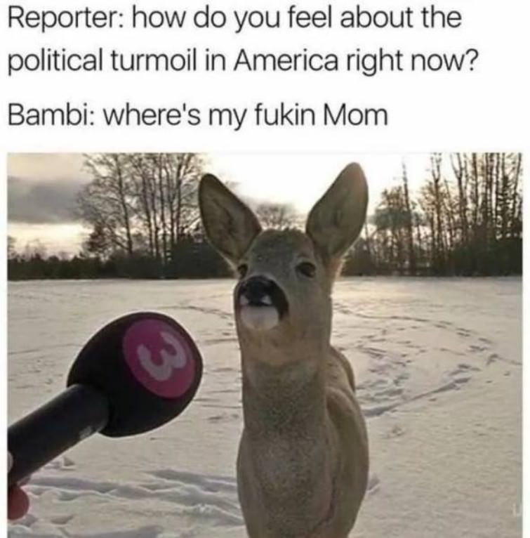 You Animal