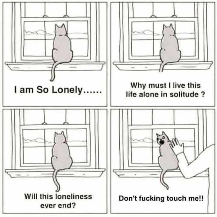 You Animal