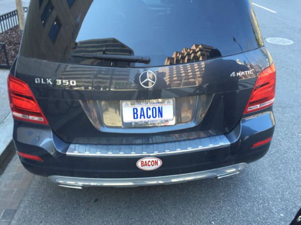 bacon