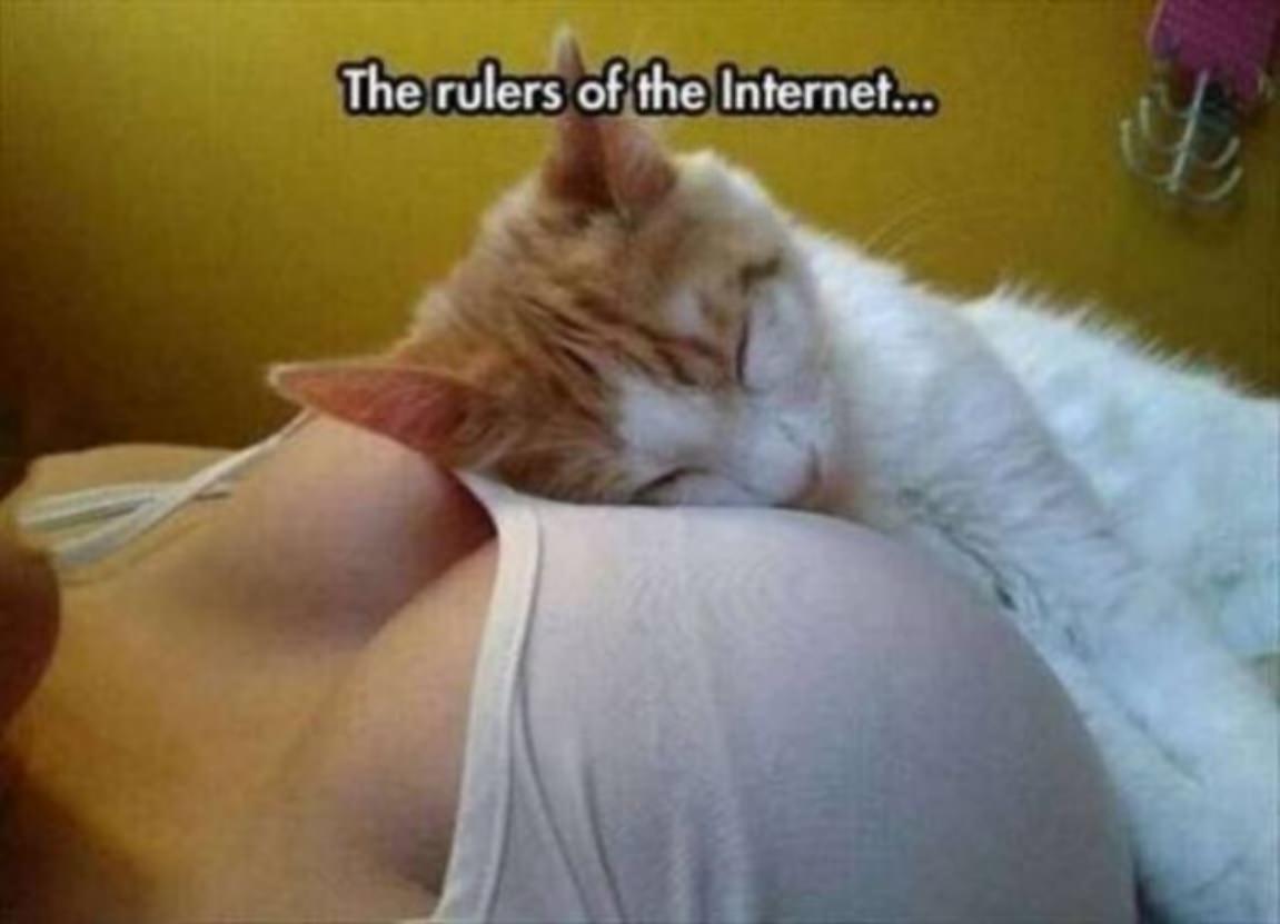 Is there anythying boobs cannot do