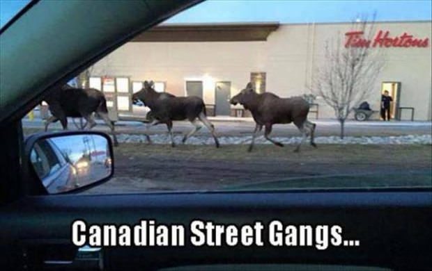 Canada Day