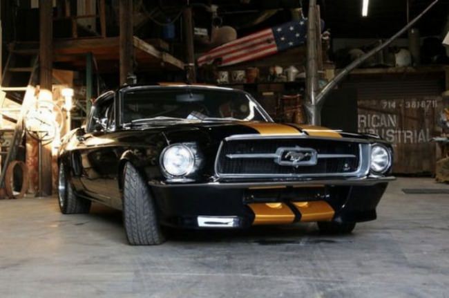 mustangs