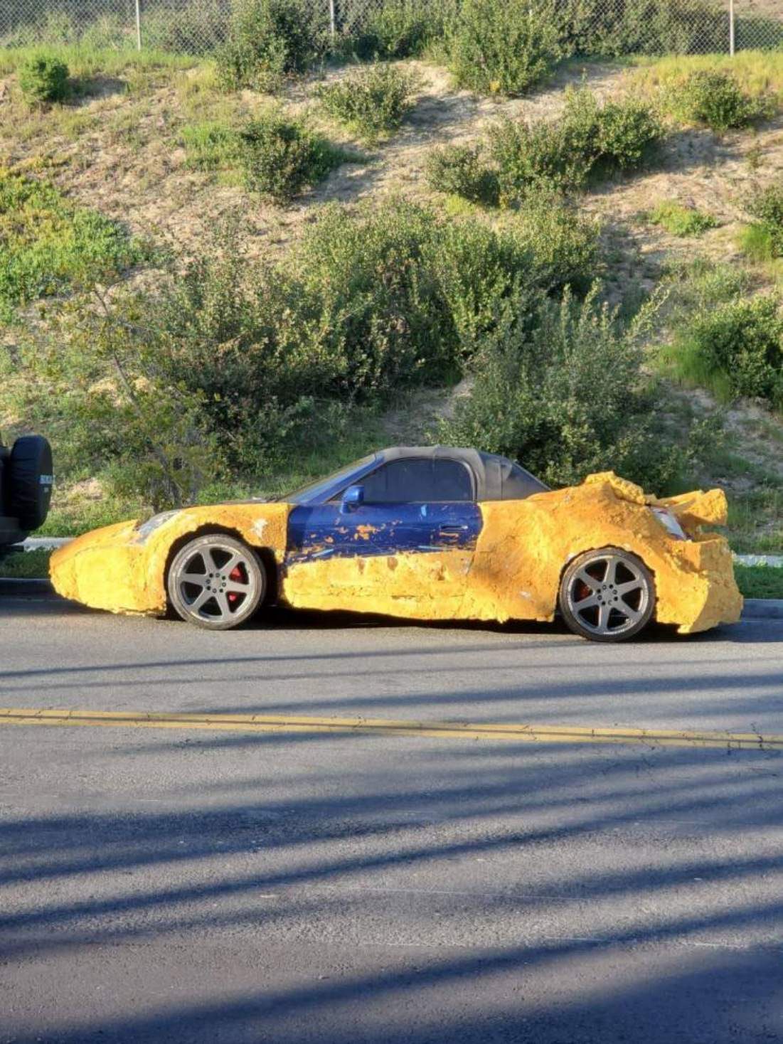 Cars go Beep Beep
