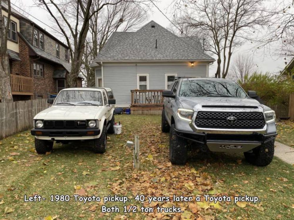 Cars Cars Cars