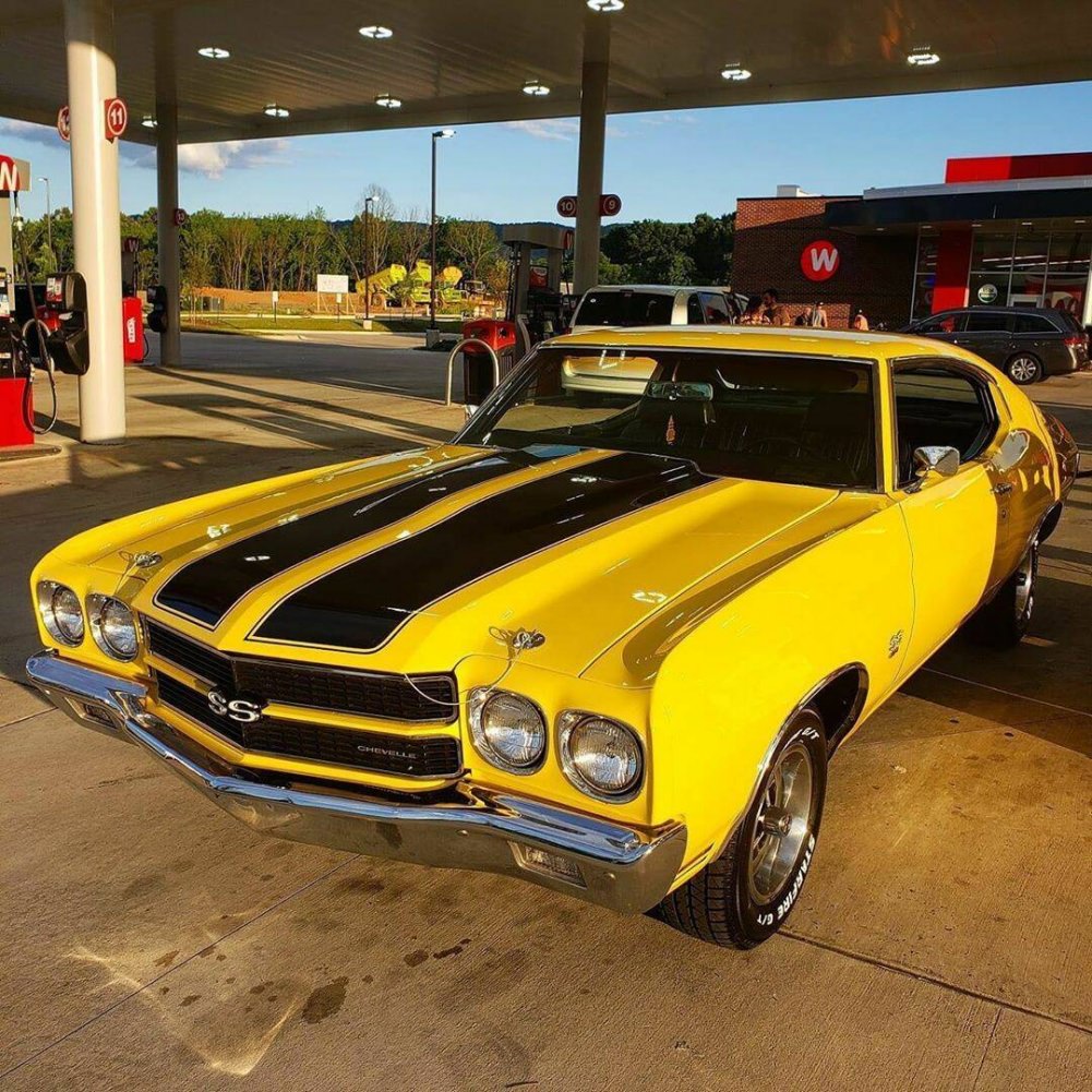 Cars Cars Cars